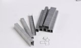 Best Products Sofa Hardware Metal Staple Clip Head Brads Steel Strip Nails
