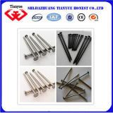 Quality Industry Common Building Nails