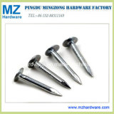 Electro Galvanized Large Flat Head Clout Roofing Nail