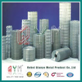 Square Mesh Welded Wire Mesh/ Steel Welded Wire Mesh