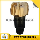 Size 12 1/4'' Medium Hard Formation Diamond Oil Drilling PDC Drill Bit for Drilling Well