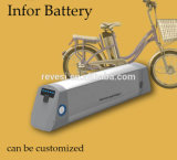 18650 36V Rechargeable Lithium Ion Battery Pack for E Bike