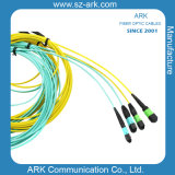 Optical Fiber for MPO Patch Cord