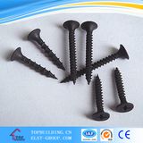 Drywall Screw/Top Building Tapping Screw/Gypsum Board Screw/Black Screw Nail