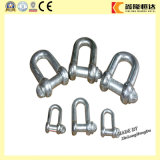Hardware Us Type Stainless Steel D Shackle
