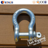 Zinc Plated Drop Forged US Type Screw Pin Anchor Shackle