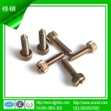 Combo Fillister Head Tip Pointed Machine Screw