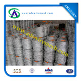 Barbed Wire (Galvanized and PVC Coated)