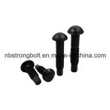 Twist off Type Tension Control Structual Bolt with Heavy Hex Head and Round Head Configurations ASTM F1852
