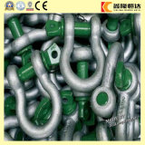 Stainless Steel European Bow Shackle