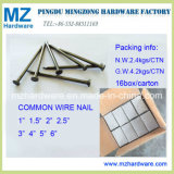 Common Iron Wire Nail with 16boxes Inner Packing