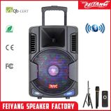 Moveable Trolley Speaker Bluetooth Karaoke Speaker Fg-12