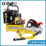 Feiyao Brand Hydraulic Hexagon Torque Wrench (FY-XLCT)