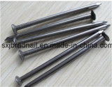 Hot Selling Polished/Galvanized Common Iron Nails From Factory