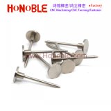 Stainless Steel Flat Head Nail
