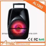 Hot Selling Tailgate Trolley Speaker with New Design