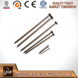 Best Quality Common Wire Nails
