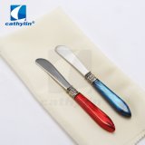 New Design Acrylic Handle Stainless Steel Butter Knife