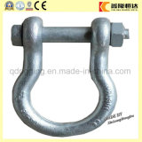 Drop Forged Screw Pin Lifting Chain D Shackle Factory Price