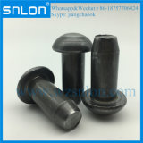 Steel Round Head Rivet Blind Rivet with Chamfer for Auto Parts