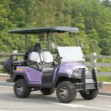 China 48V Battery Power Electric Golf Cart for Sale