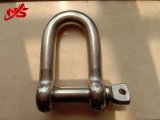 European Type Large Dee Shackle with Pin Stainless Steel