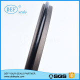 Teflon Sliding Rod Ring/Step Seal for Injection Moulding Machines