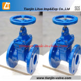 DIN Standard, Ductile Iron Non-Rising Resilient Seated Gate Valve (DN50-600)