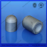 Wc Co Cemented Carbide Tool for Oil and Rock Drill