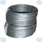 High Quality Pure 99.95% Tungsten Wire/Best Tungsten Filament for Metalizing Manufacturertungsten Wire