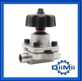Forged Weld Manual Diaphragm Valve for Pharmacy or Food Industry