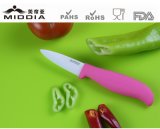 Professional Kitchen Knife Manufacturer of Ceramic Fruit Knife