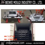 Professional Manufacture Plastic Injection Milk Crate Mold