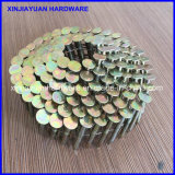 1-1/4'' Coil Roofing Nail / Roofing Coil Nail