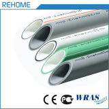 Top Quality PPR Pipe/PPR Hot Water Pipe Pn16 20-110mm