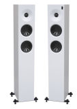 New Product WiFi Bluetooth 4.0 Multifunction Home Theater and Music Floor Standing Tower Speaker