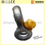 High Tensile Steel Us Type Drop Forged Chain Bow Shackle