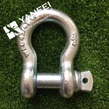 Us Type Bow Shackle Supplier