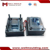Custom Die Casting Mould and Plastic Injection Mold