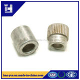 Machinery Parts Hex Head Shaped Hollow Fastener