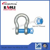 G209 US Type Bow Shackle with Screw Pin