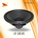 18inch PA Speaker with 110 Neo Magnet