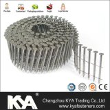 Galvanized Coil Nails for Roofing, Fencing