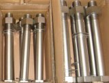 A2 A4 Stainless Steel DIN933 DIN931 ASME Heavy Hexagon Bolt with Nut ISO Certificated