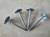 Galvanized Roofing Nail with Umbrella Head for Roof Building