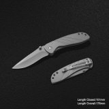 Folding Knife with Titanium Coating (#31021-814)