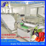 Fruit and Vegetable Processing Machinery Vegetable Cutter