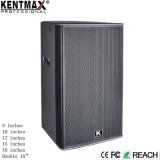Professional Indoor Show 12CH Portable Mini Speaker with USB