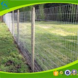 Iron Wire Mesh Fence Welded Fence Mesh Panels