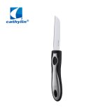 Kitchen Tools Stainless Steel Fruit Knife with Plastic Handle